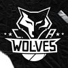 Академия баскетбола CA Wolves